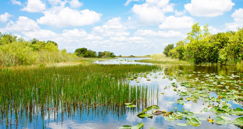 civi.ca - Water Resources and Watershed Management | Civica Infrastructure