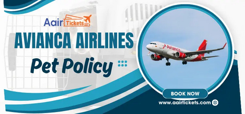 www.aairtickets.com - What is Avianca Airlines Pet Policy? Rules and Restrictions for Pets
