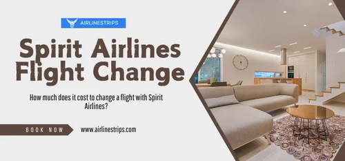 www.airlinestrips.com - Changing Flights with Spirit Airlines? Read Change Flight Policy