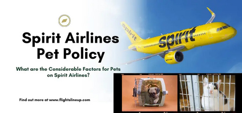 www.flightslineup.com - Spirit Airlines Pet Policy - Rules for Pet Cage Size and Charges