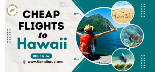 www.flightslineup.com - Book Cheap Flights ticket to Hawaii
