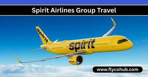 www.flycohub.com - Spirit Airlines Group Travel: The Complete Guide for Affordable Group Travel