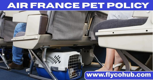 www.flycohub.com - Air France Pet Policy : Cabin, Hold or Cargo