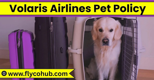 www.flycohub.com - Travelling with Your Furry Friends on Volaris Airlines Complete Details of Pet Policy