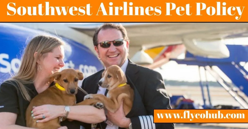 www.flycohub.com - Travel with your Pets on Southwest Airlines: Book your Pet Online